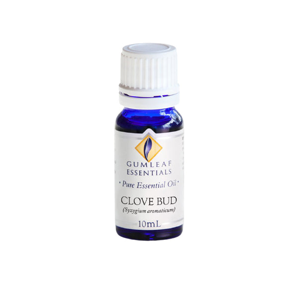 BP Clove Bud Essential Oil 10ml - Live Well