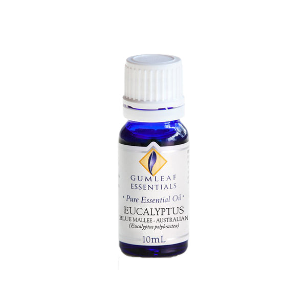 BP Eucalyptus Blue Mallee Organic Essential Oil - Live Well