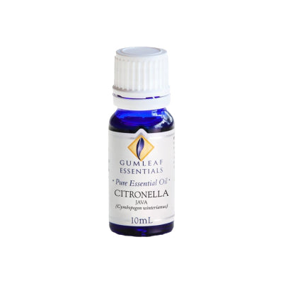 BP Citronella Java Essential Oil 10ml - Live Well