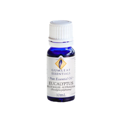 BP Eucalyptus Blue Mallee Essential Oil 10ml - Live Well