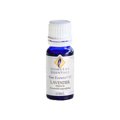 BP Lavender Bulgarian Essential Oil 10ml - Live Well